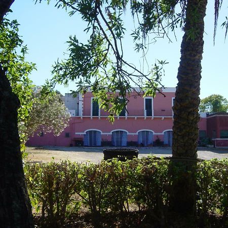 Tenuta Argiano Mesagne Ngoại thất bức ảnh