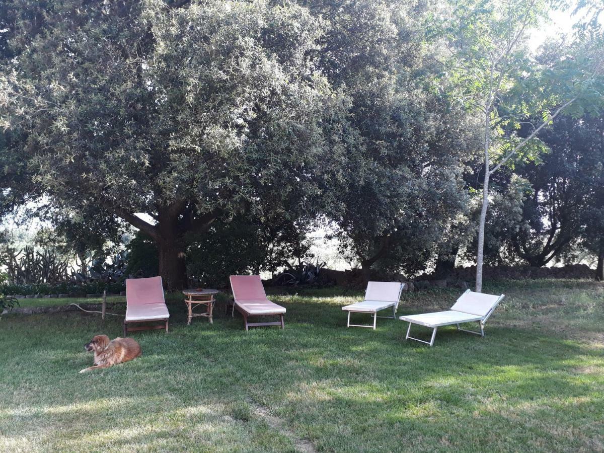 Tenuta Argiano Mesagne Ngoại thất bức ảnh